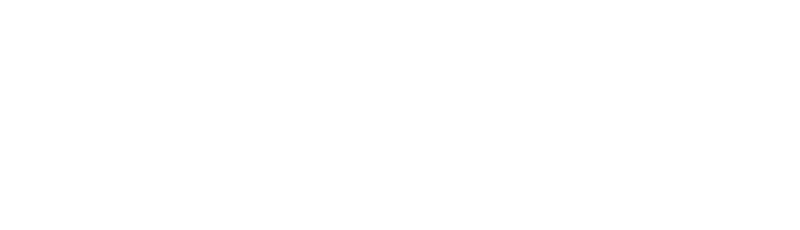 Sega4D